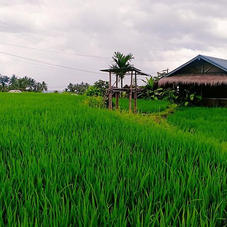 Bayan Exotic Homestay سينارو المظهر الخارجي الصورة
