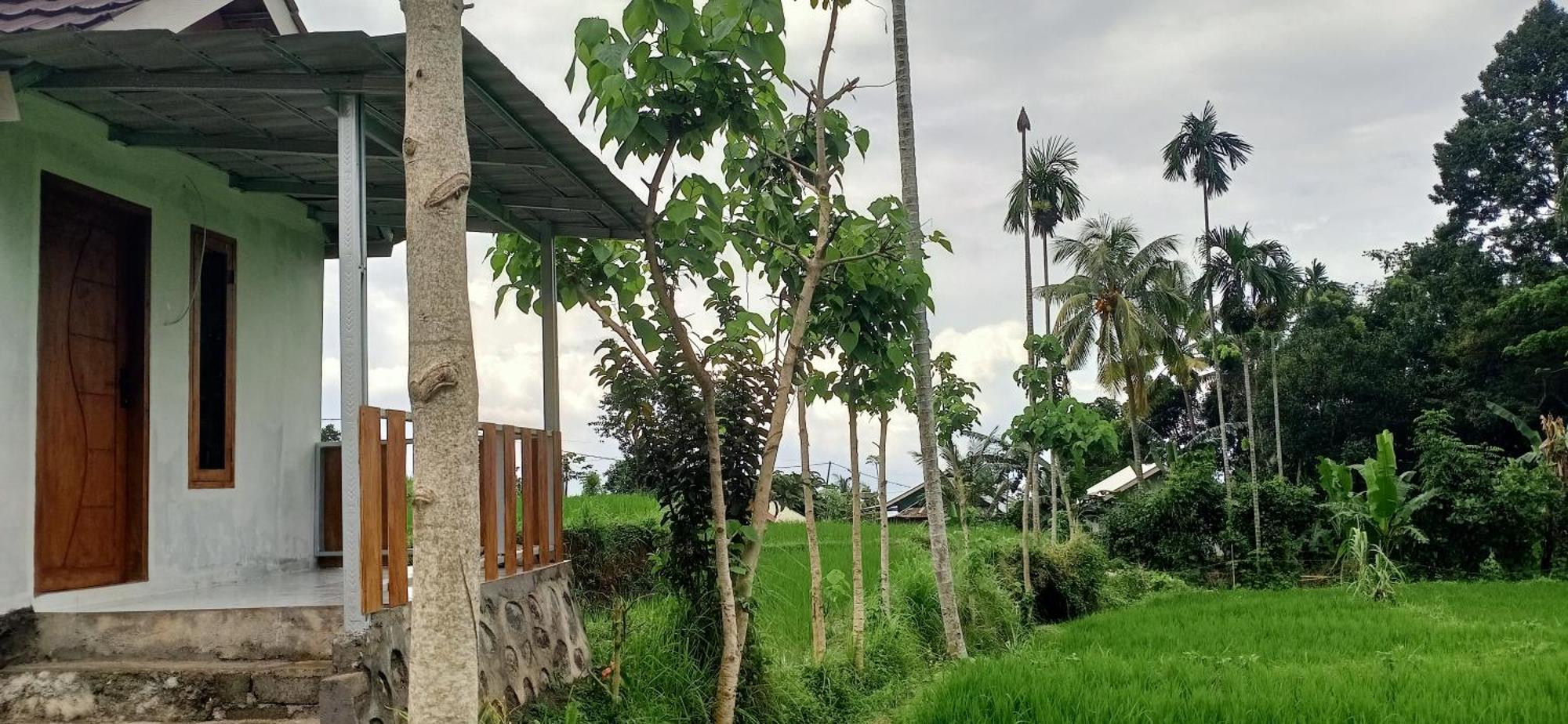 Bayan Exotic Homestay سينارو المظهر الخارجي الصورة