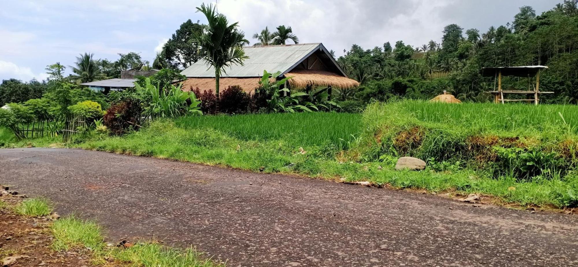 Bayan Exotic Homestay سينارو المظهر الخارجي الصورة