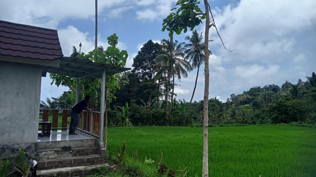 Bayan Exotic Homestay سينارو المظهر الخارجي الصورة