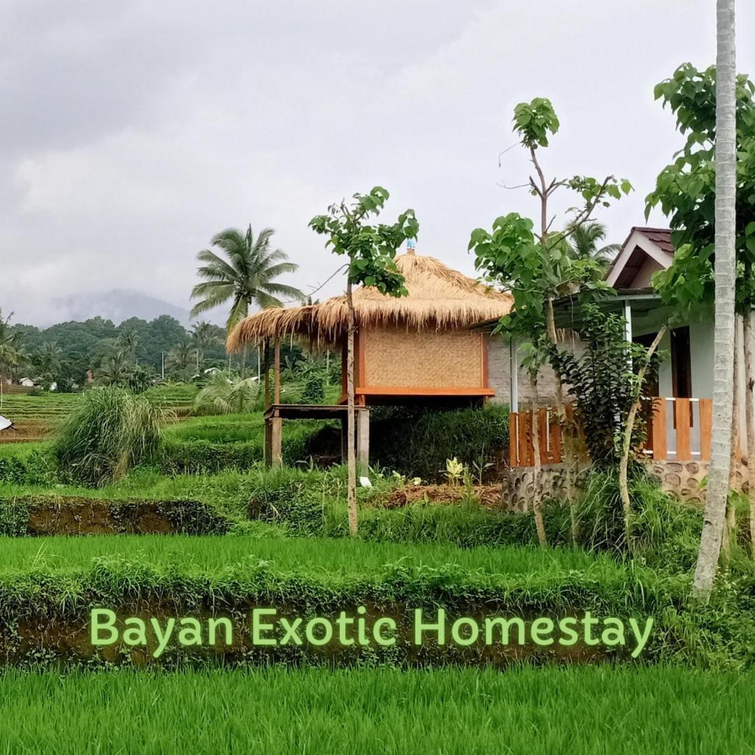 Bayan Exotic Homestay سينارو المظهر الخارجي الصورة