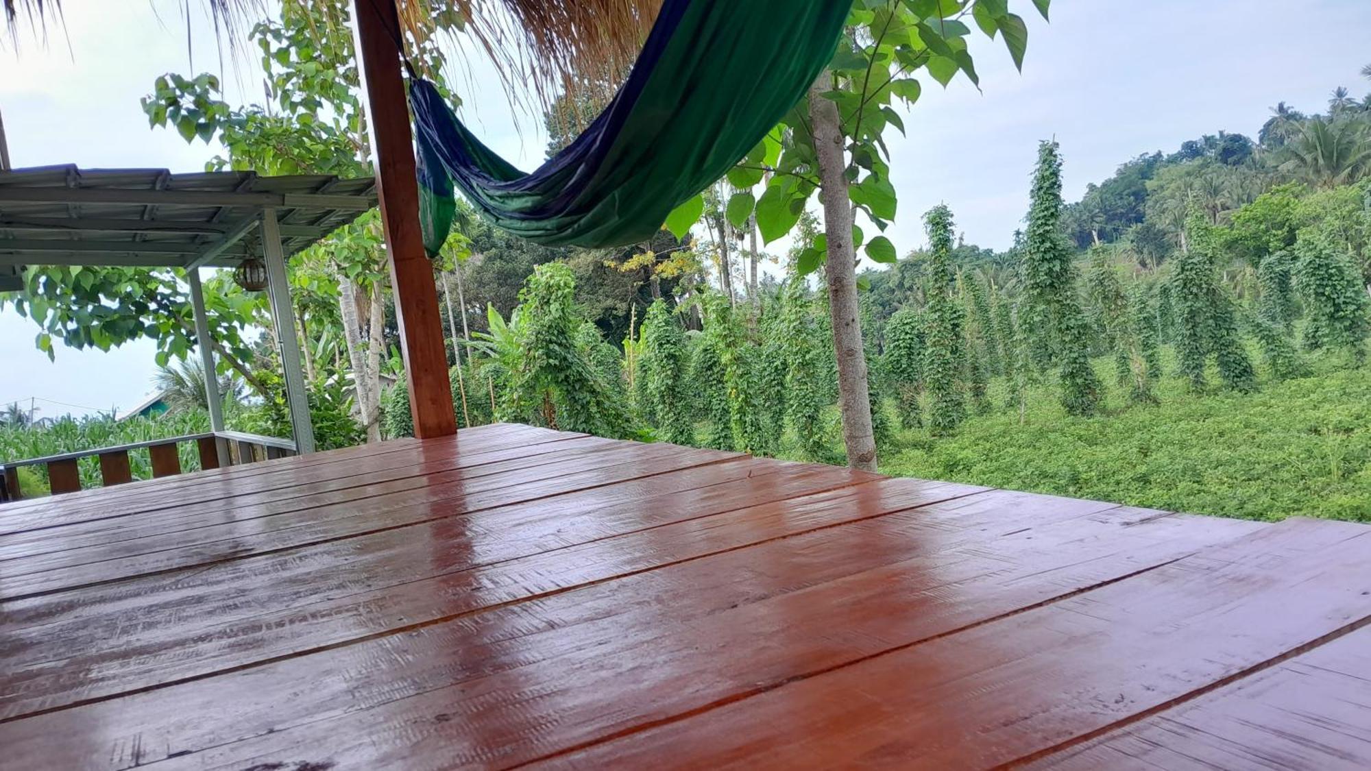 Bayan Exotic Homestay سينارو المظهر الخارجي الصورة
