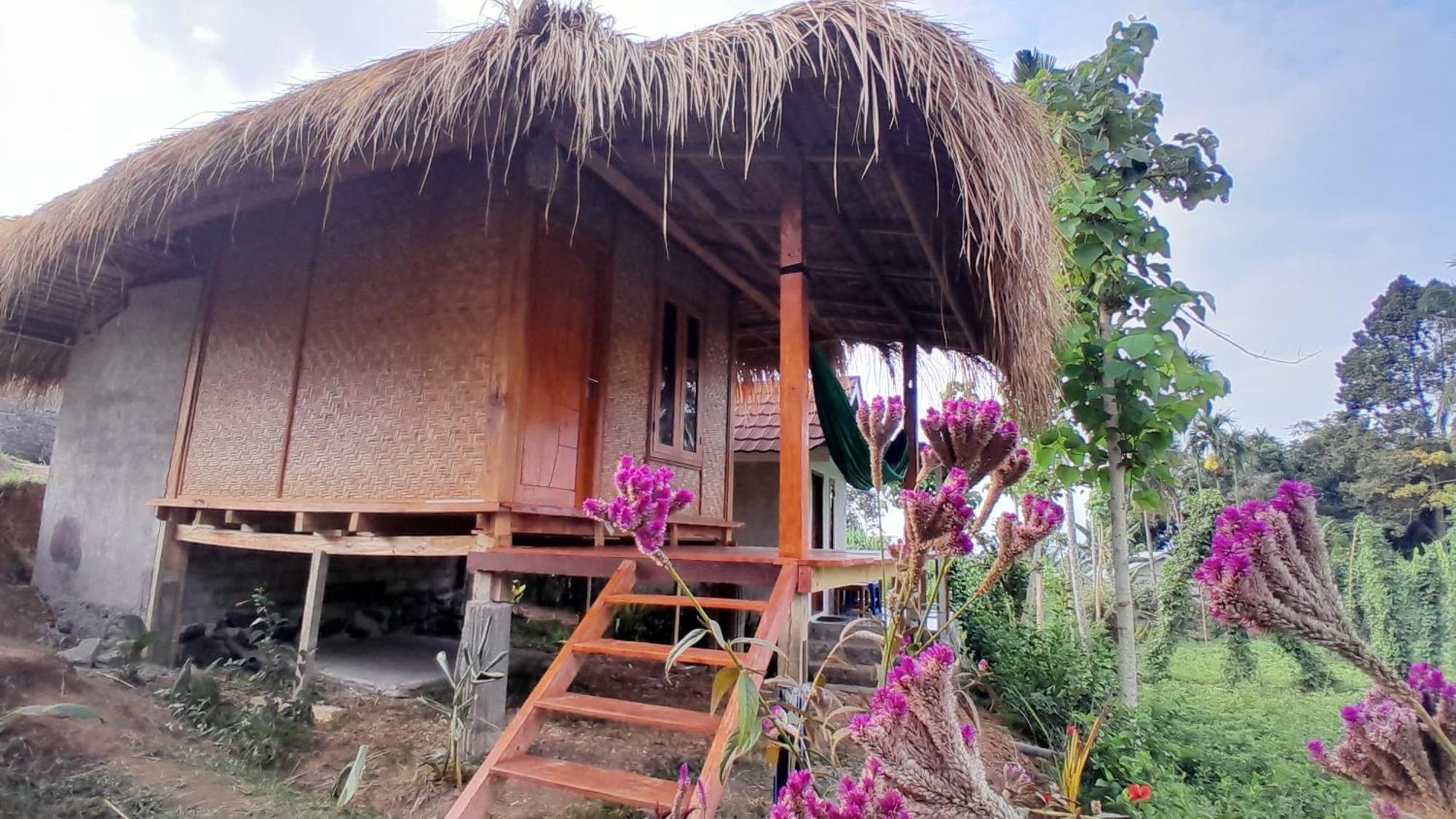 Bayan Exotic Homestay سينارو المظهر الخارجي الصورة